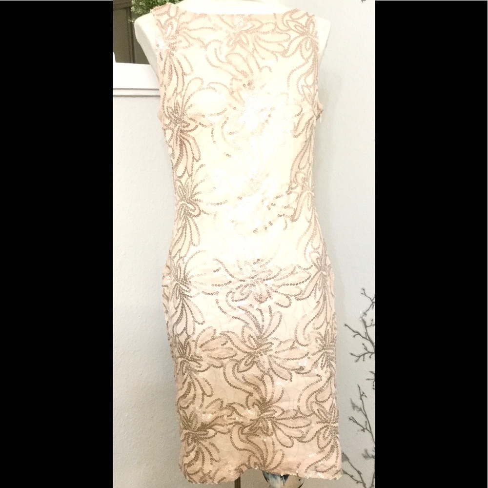 Ralph’s Lauren Evening Dress Blush Pink Sequence 6
